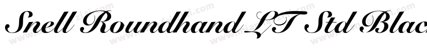 Snell Roundhand LT Std Black Script字体转换